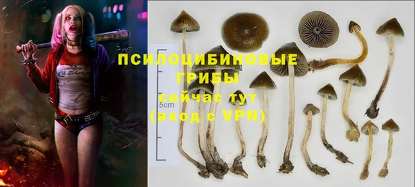 спиды Абинск