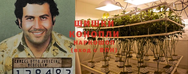 шишки Абдулино