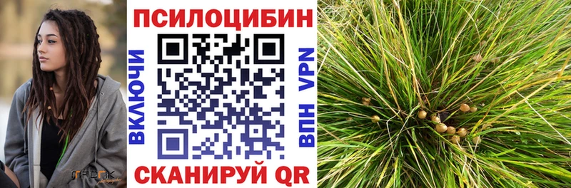 даркнет сайт  Лодейное Поле  Псилоцибиновые грибы Magic Shrooms 